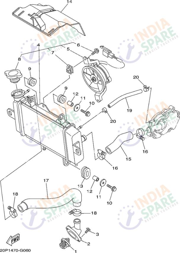 RADIATOR & HOSE